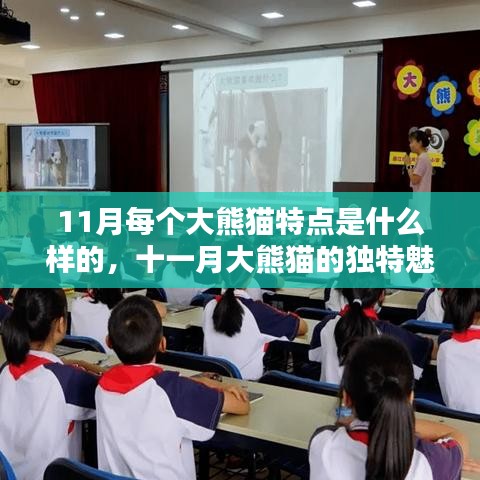 厂房环境 第232页
