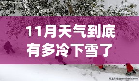 第1861页
