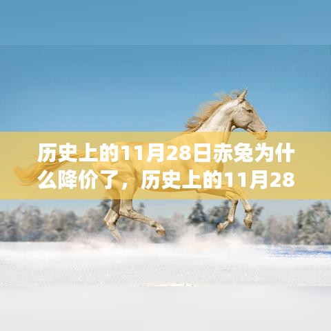 联系我们 第230页