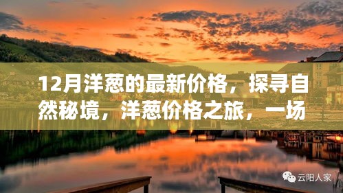 联系我们 第208页