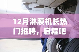 第1595页