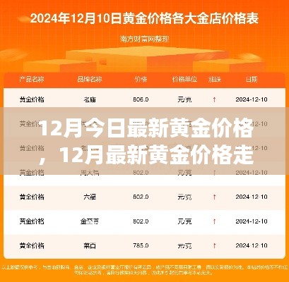 草间求活 第3页