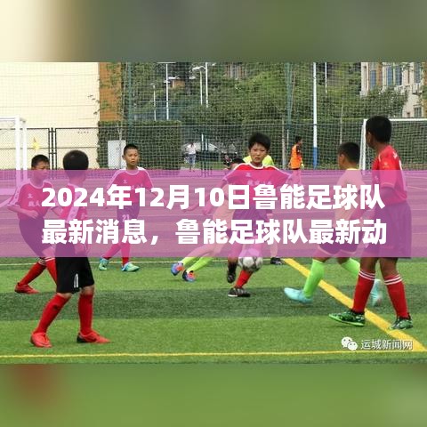 新闻动态 第214页