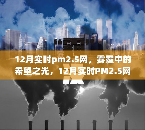 运输网络 第183页