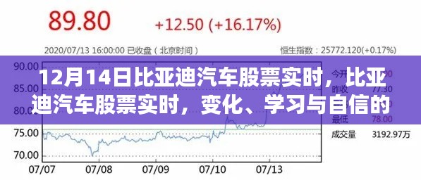 在线留言 第190页