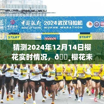 量入为出 第4页