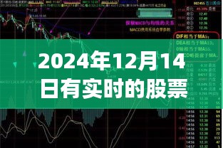 功名富贵 第3页