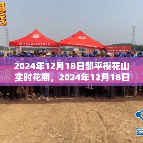 展翅欲飞 第3页