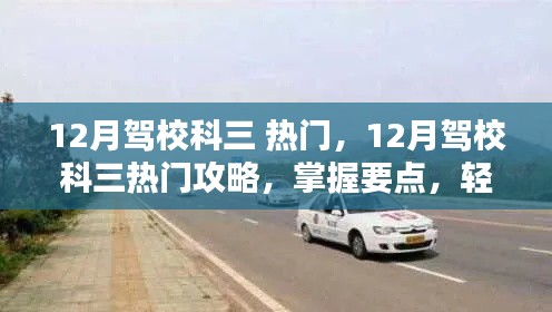 在线留言 第150页
