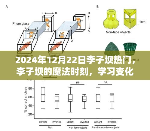 张弛不定 第3页