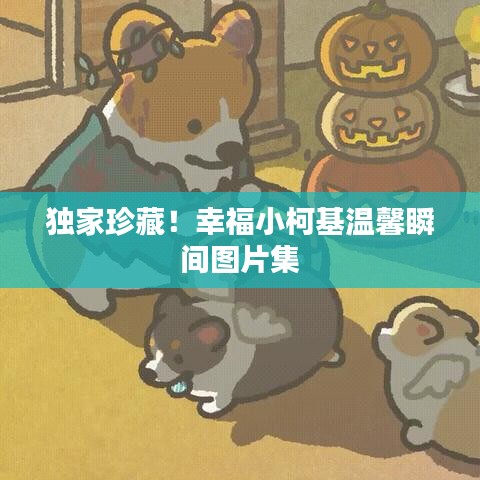 无影无踪 第3页