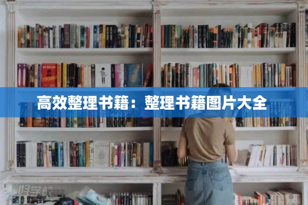高效整理书籍：整理书籍图片大全 