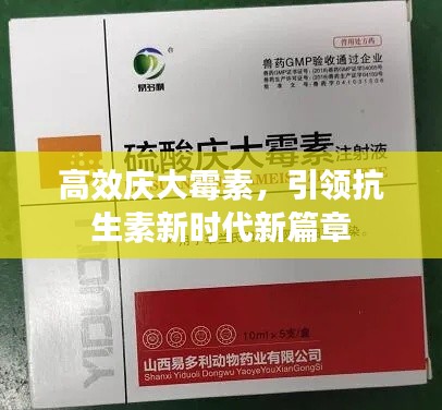 有张没智 第2页