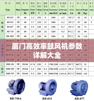 漫天飞舞 第3页