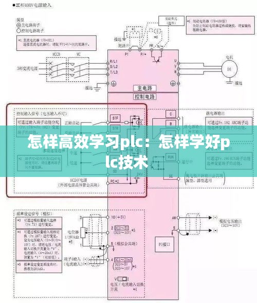 心慌意乱 第3页