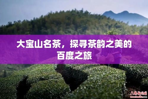 大宝山名茶，探寻茶韵之美的百度之旅
