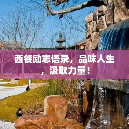 联系我们 第96页