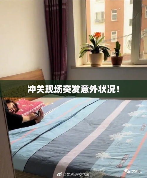 质而不俚 第2页