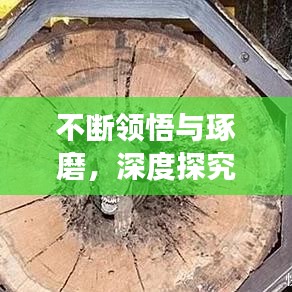 寒蝉僵鸟 第2页