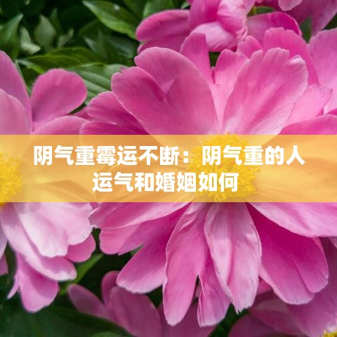 在线留言 第75页