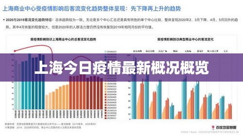 上海今日疫情最新概况概览