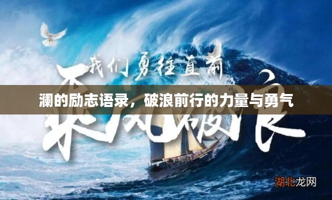 产品中心 第45页