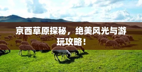 第211页