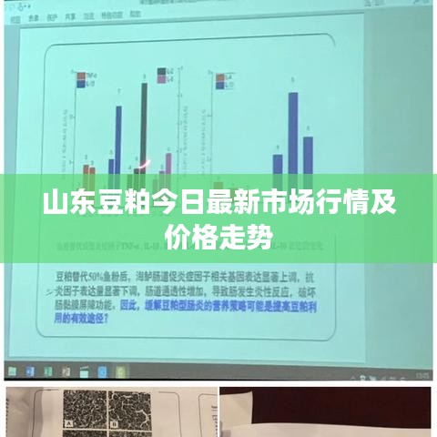 产品中心 第27页