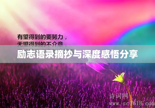 张冠李戴