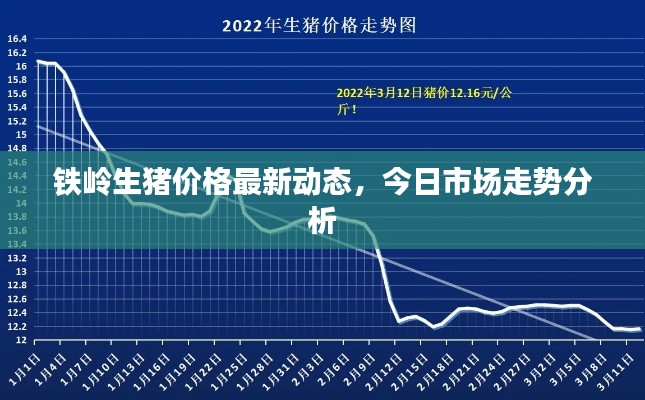 联系我们 第17页