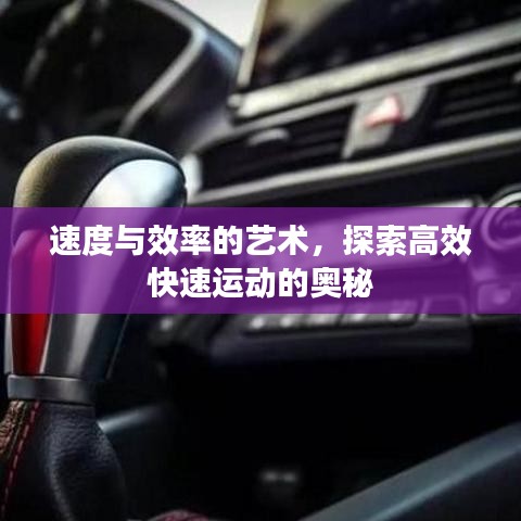 尊道贵德