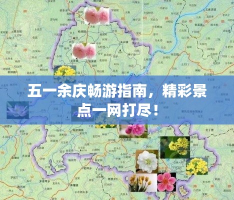 撺哄鸟乱