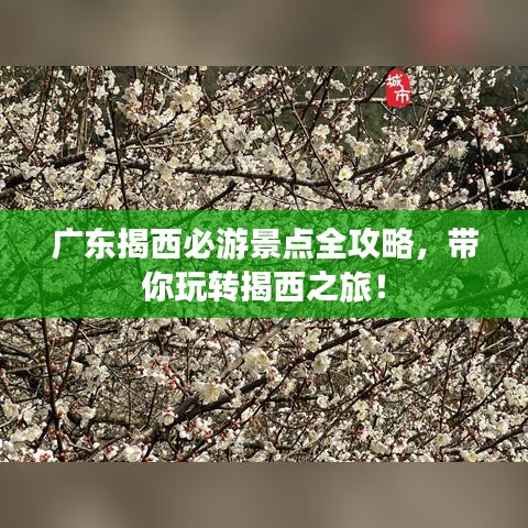 碧瓦飞甍