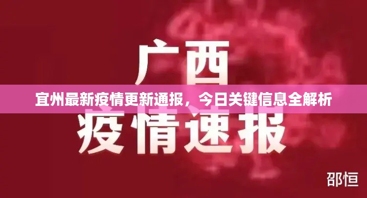 联系我们 第7页