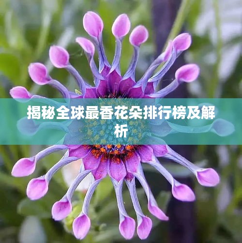 巧舌如簧