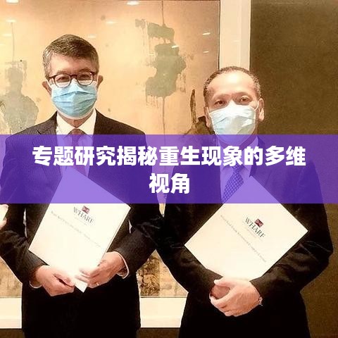 不飞则已
