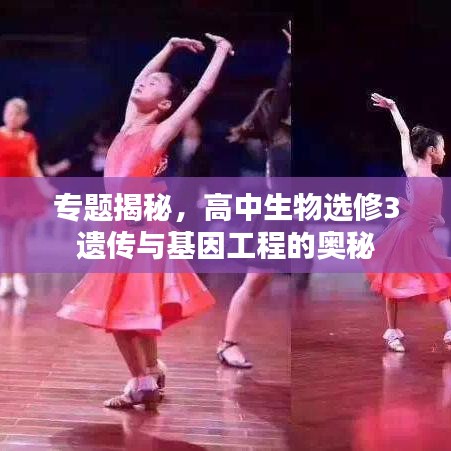 运输网络 第3页