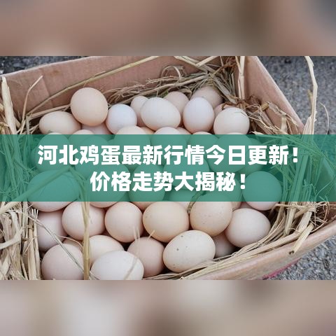 国色天姿