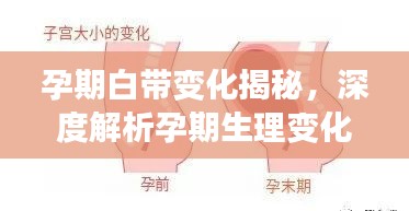 重张旗鼓