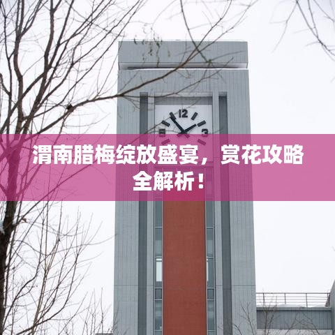 2025年5月19日
