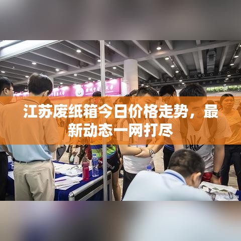 江苏废纸箱今日价格走势，最新动态一网打尽