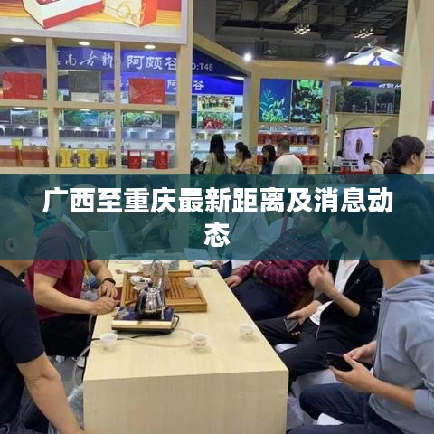 广西至重庆最新距离及消息动态