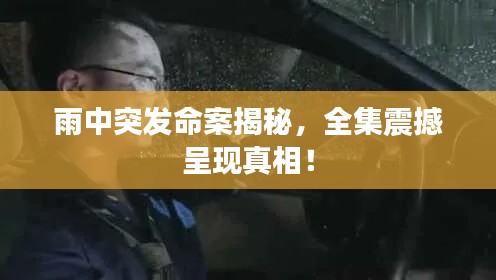 雨中突发命案揭秘，全集震撼呈现真相！