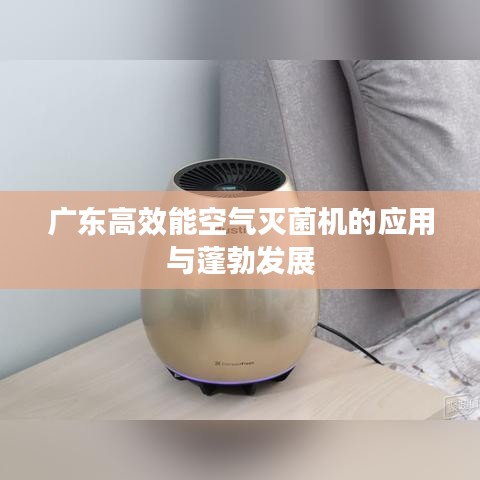 公司简介 第19页