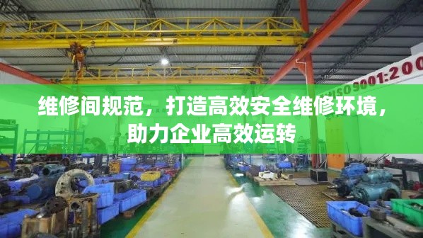 择善而从