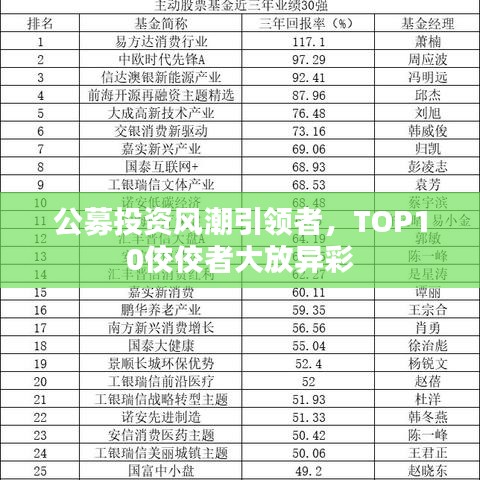 公募投资风潮引领者，TOP10佼佼者大放异彩