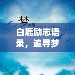 白鹿励志语录，追寻梦想的力量与勇气，激发无限潜能！