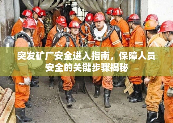 产品中心 第12页
