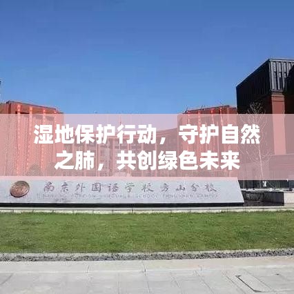 湿地保护行动，守护自然之肺，共创绿色未来