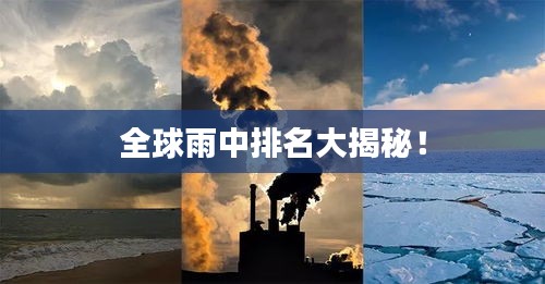 全球雨中排名大揭秘！